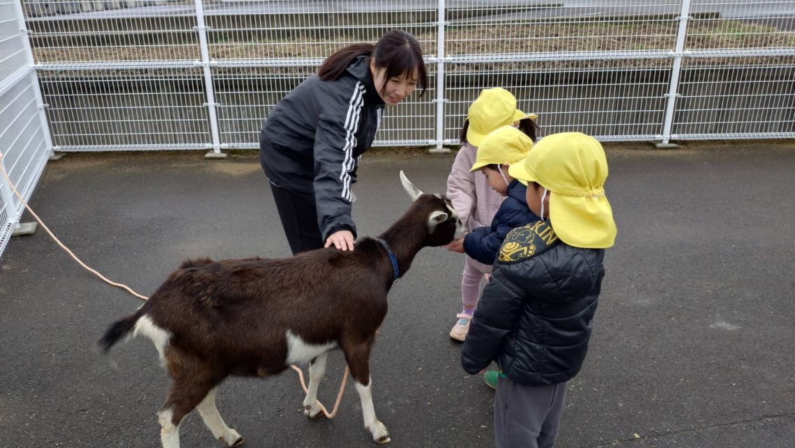 雄島こども園　ふれあい動物園　出前参加事業