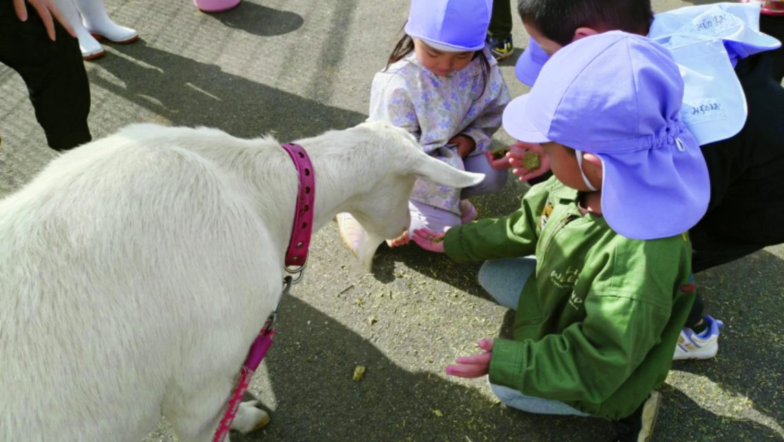 雄島こども園　ふれあい動物園　出前参加事業